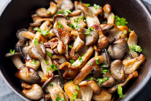 Are Mushrooms a Good Source of Protein? Nutrition Facts & Key Insights