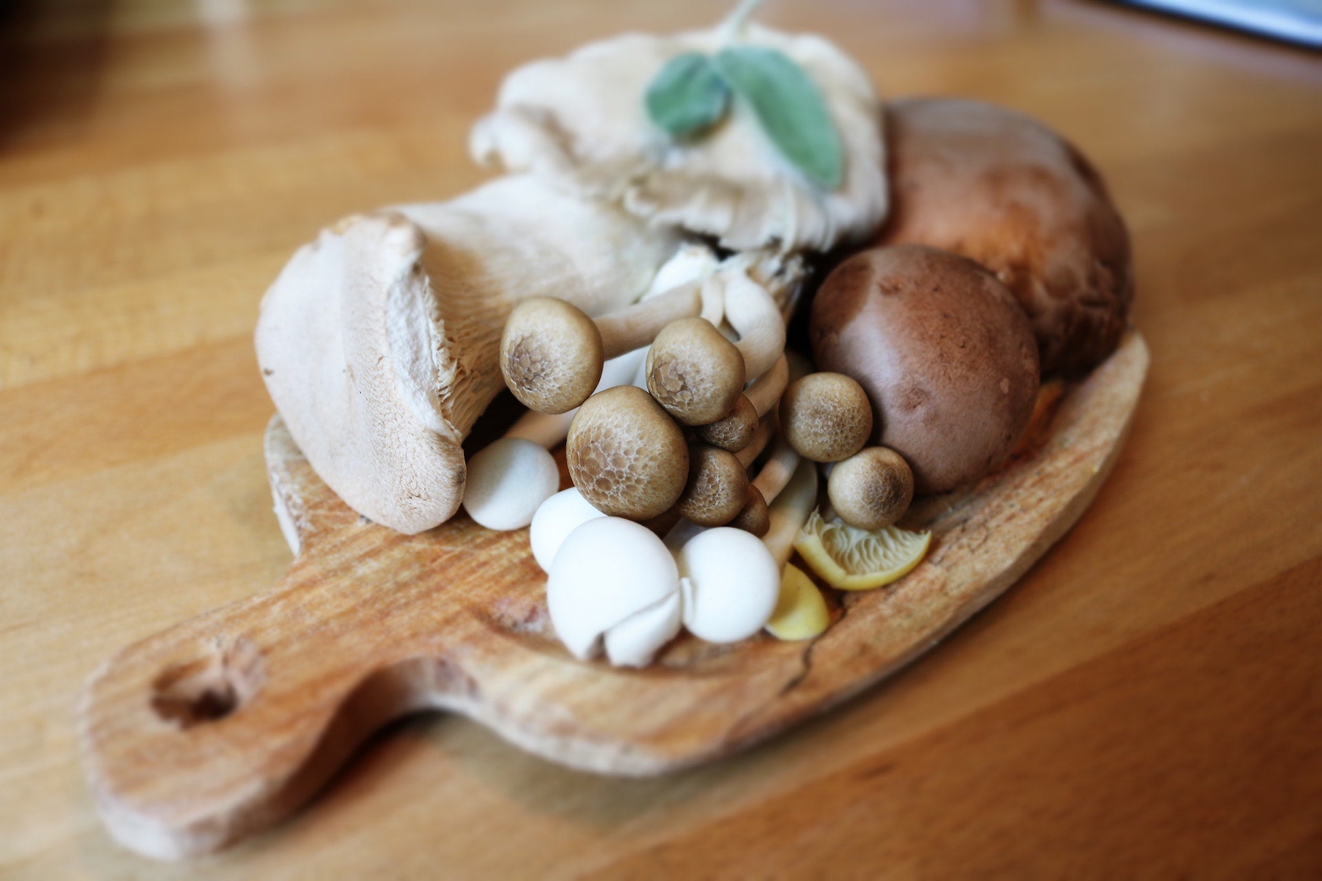 Beta-Glucans and Functional Mushrooms