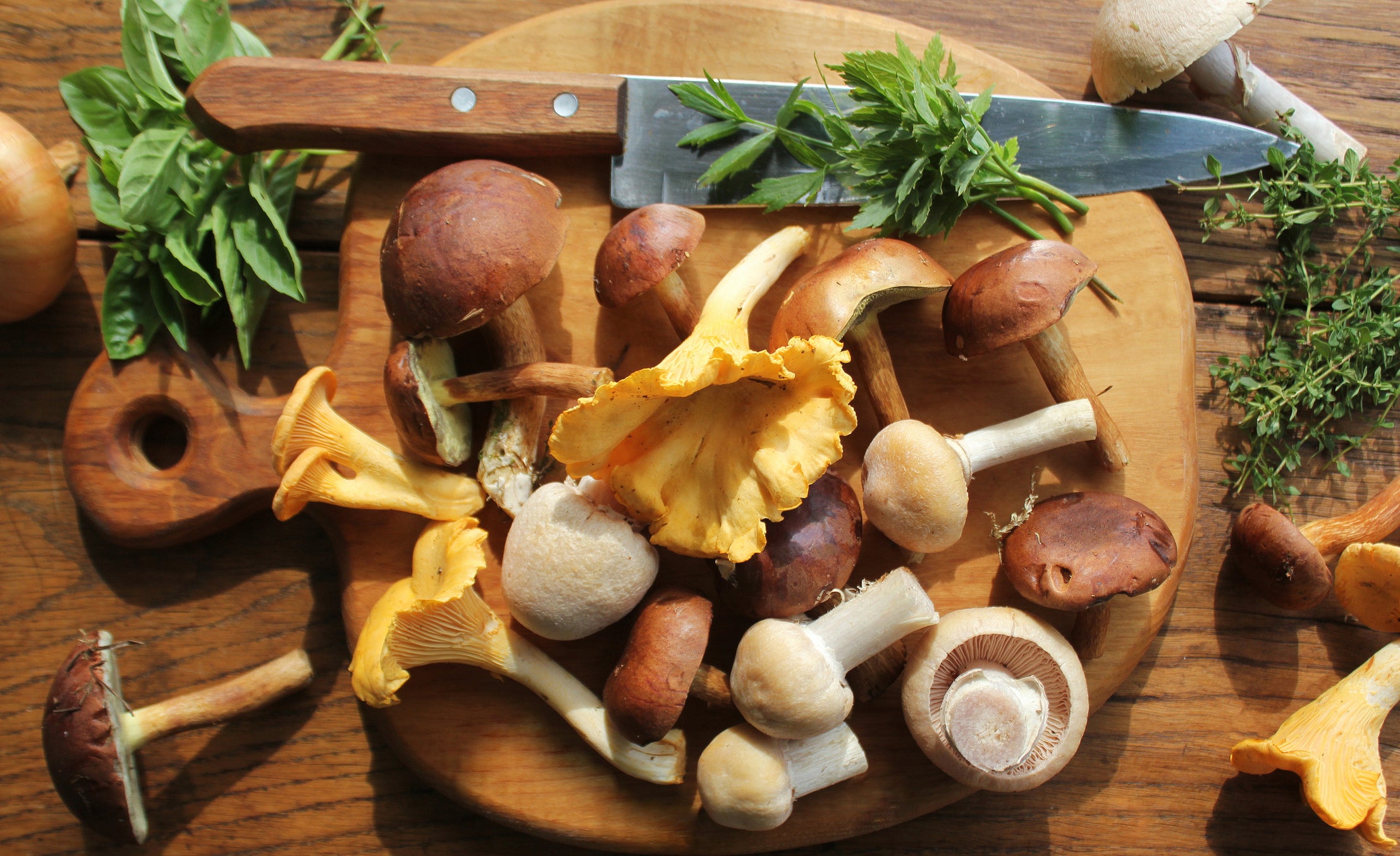 Can You Eat Raw Mushrooms?