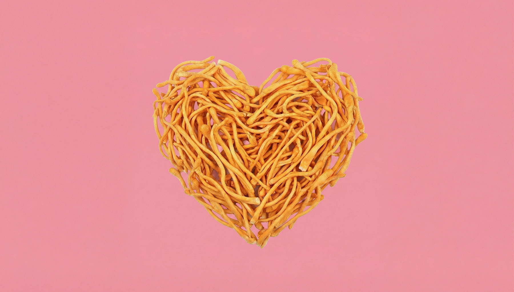 Cordyceps and Vitality: Supporting Energy, Endurance, and Connection, Naturally