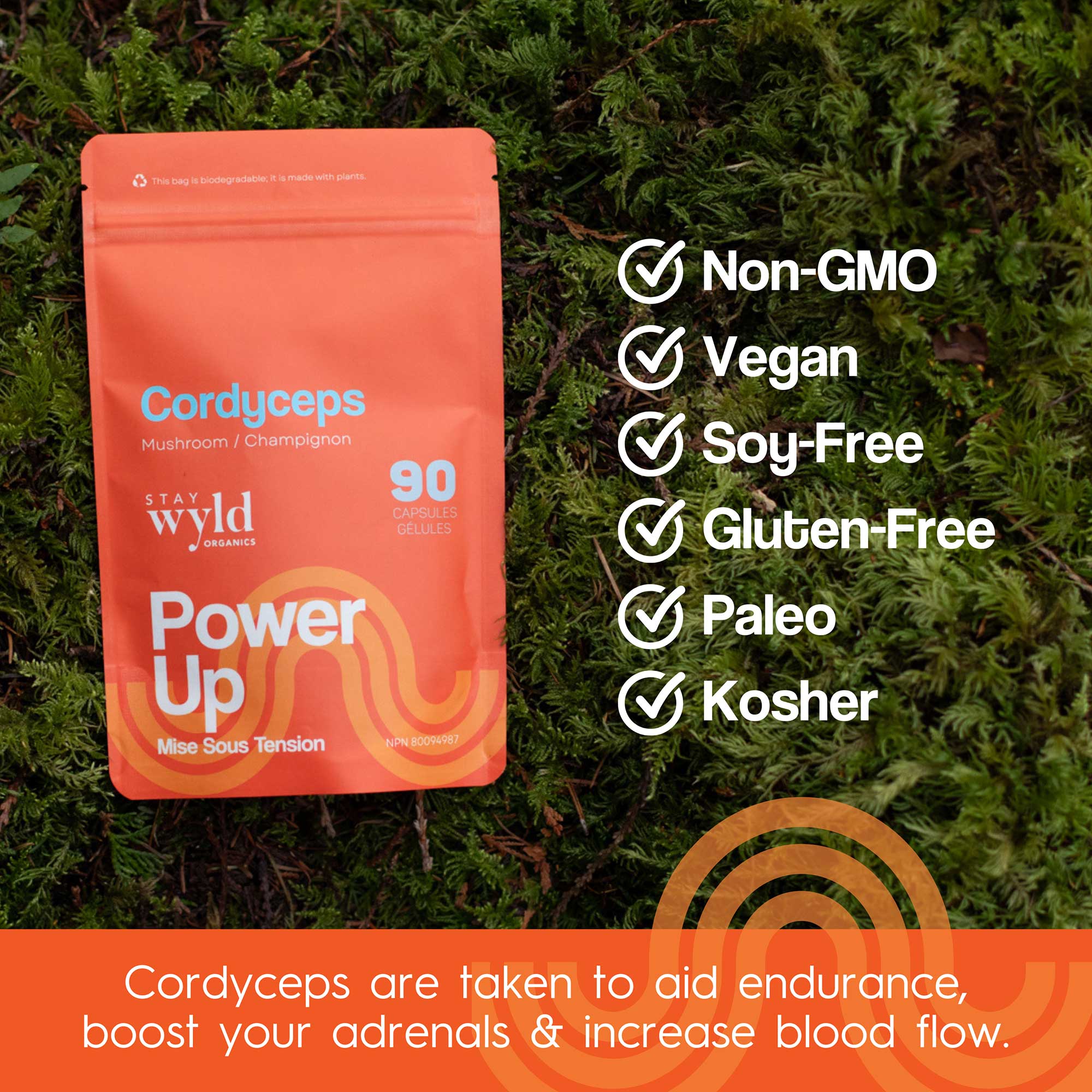 Cordyceps Mushroom Capsules