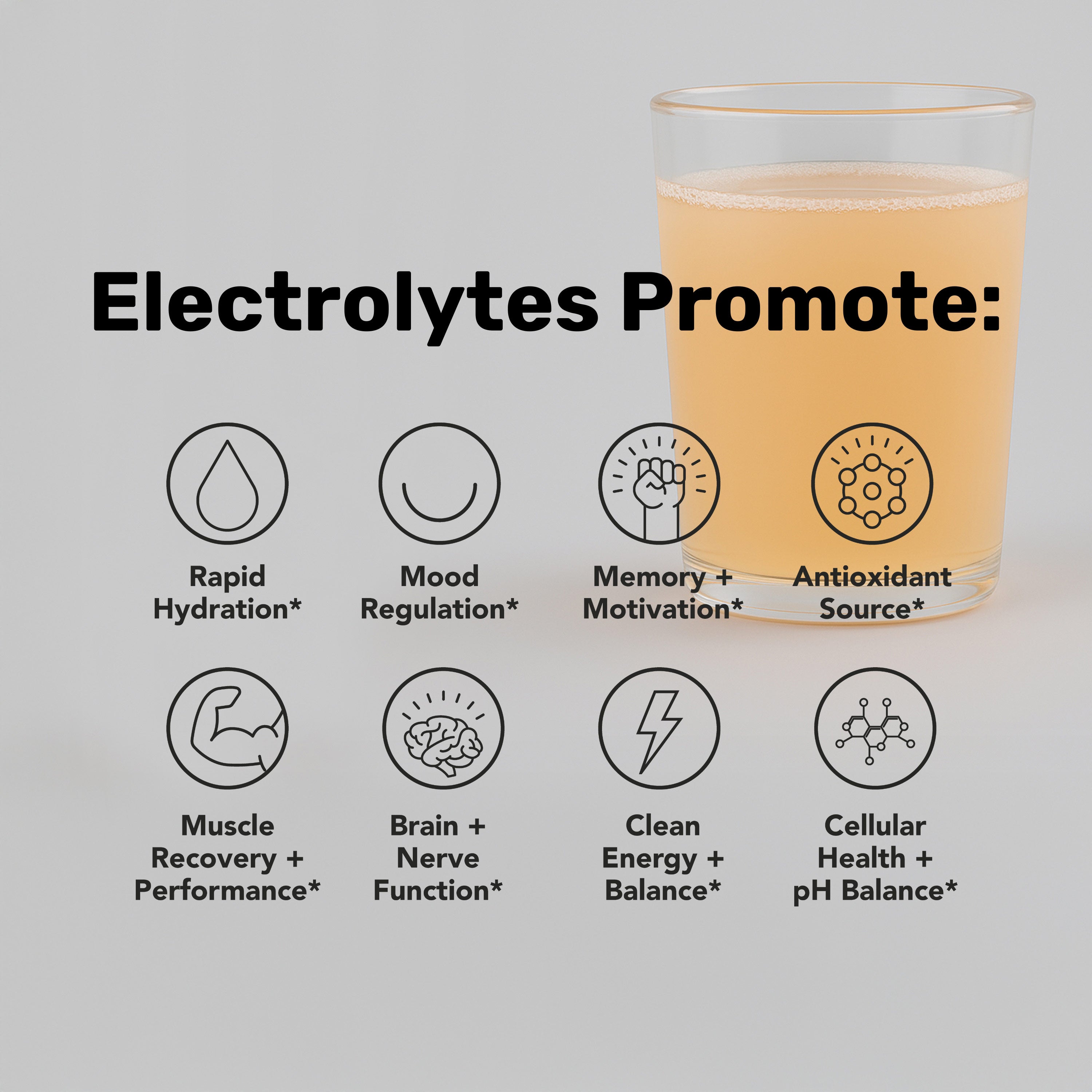 Just Peachy Electrolytes X Lion’s Mane | 20-Pack Sachets