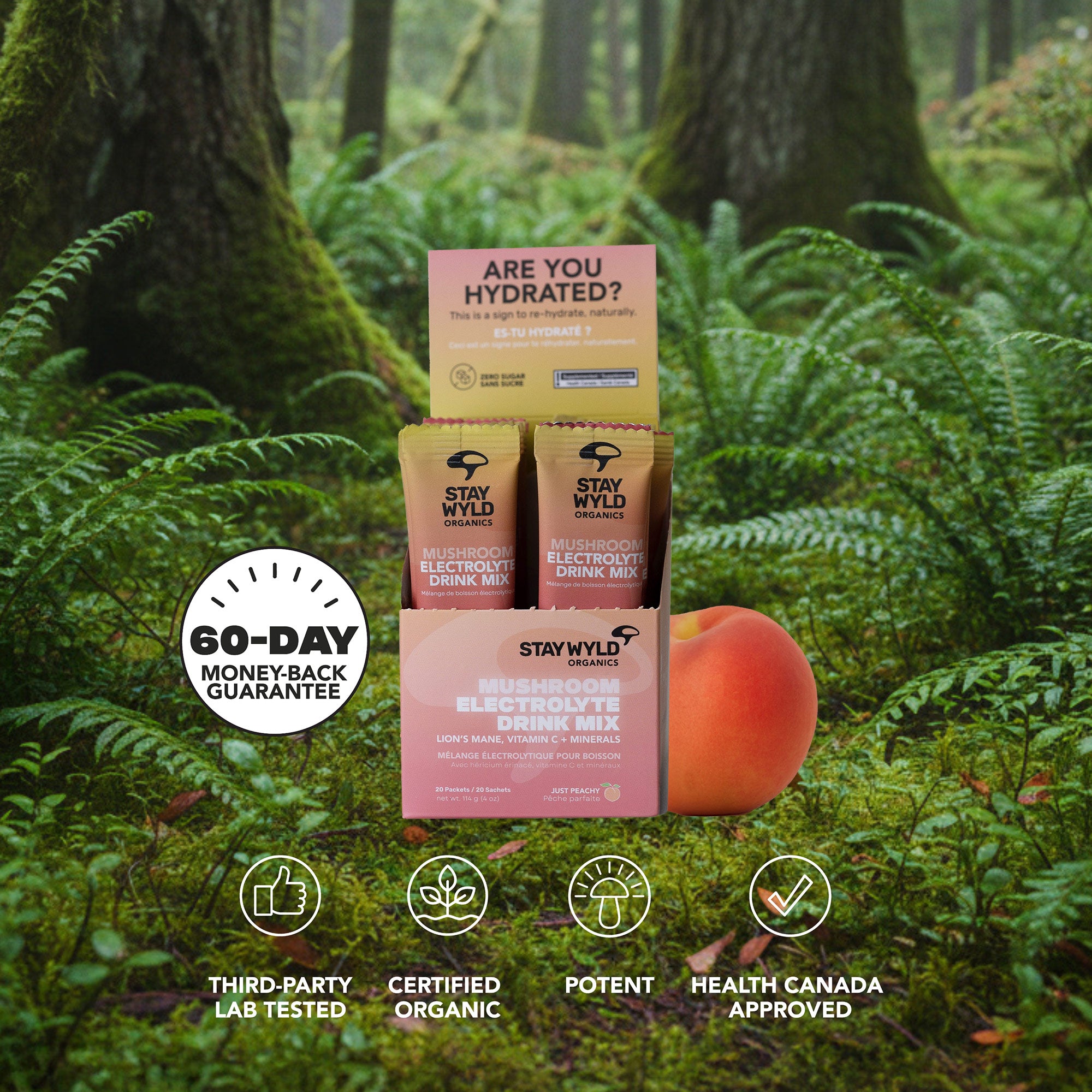 Just Peachy Electrolytes X Lion’s Mane | 20-Pack Sachets