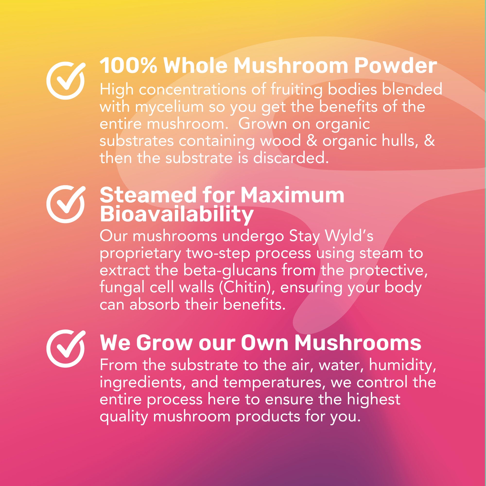 LST Energy Strips | 30 Pack