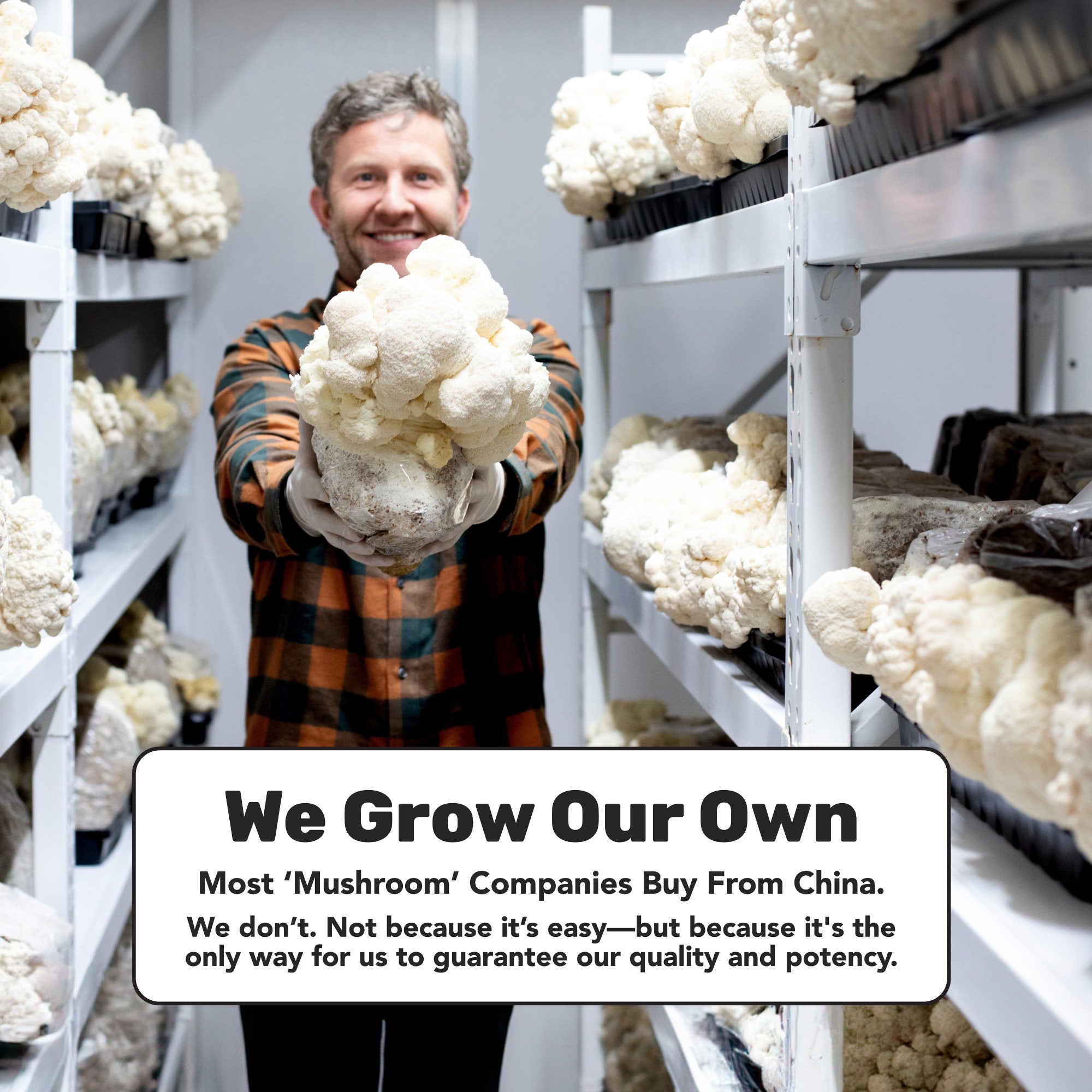 LST Immunity Strips | Instant Absorption