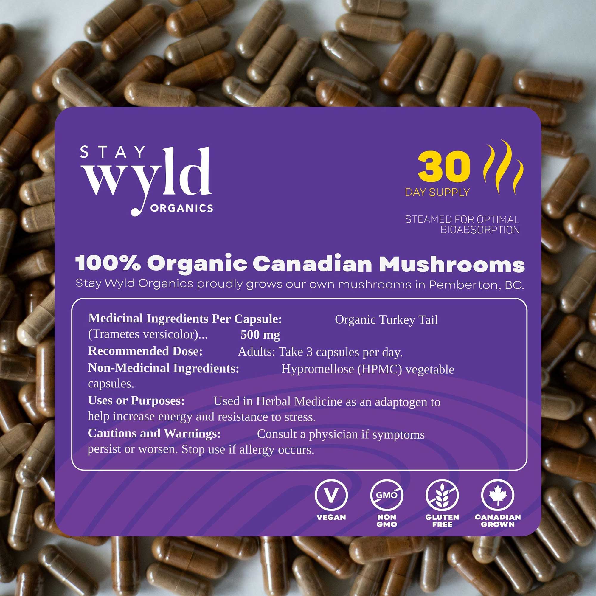 Turkey Tail Mushroom Capsules