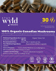 Turkey Tail Mushroom Capsules