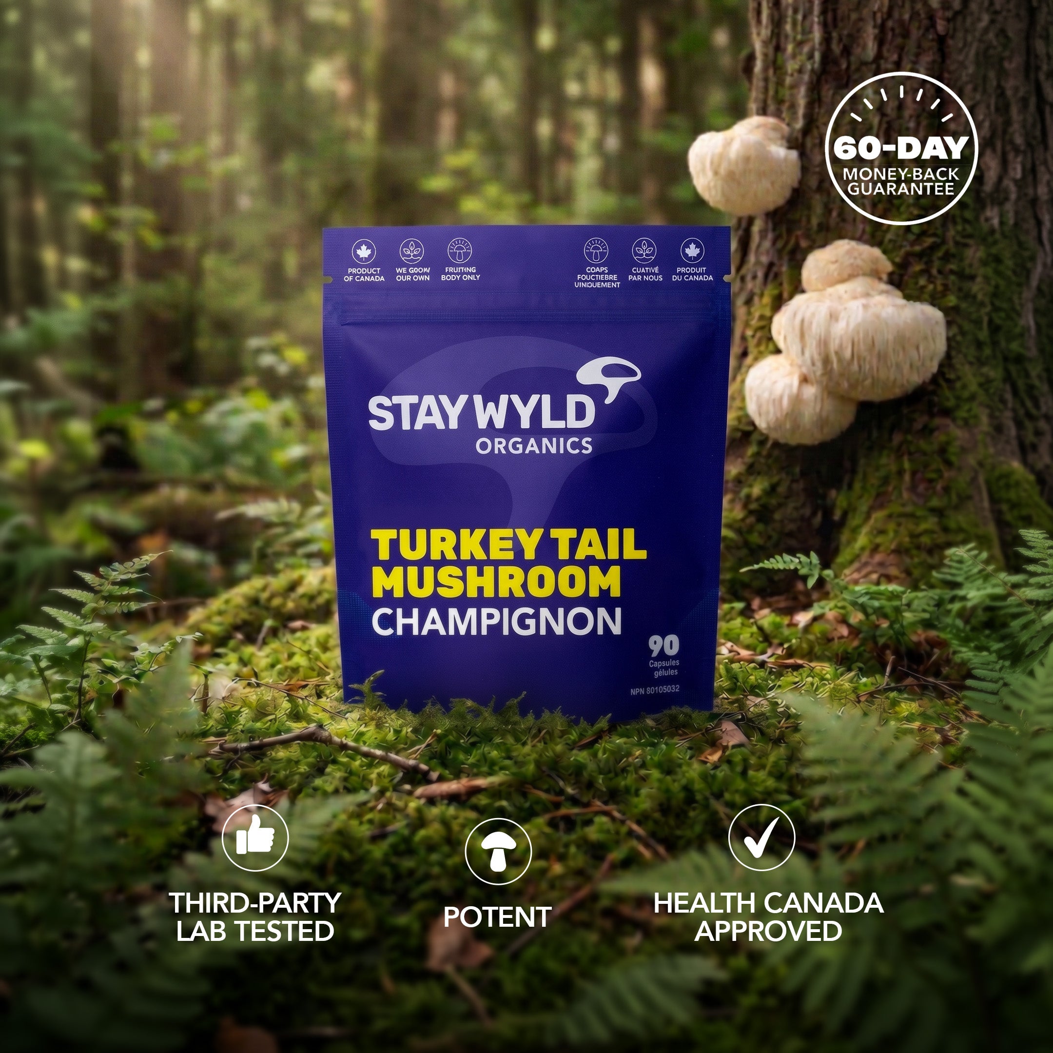 Turkey Tail Mushroom Capsules | 90 Capsules