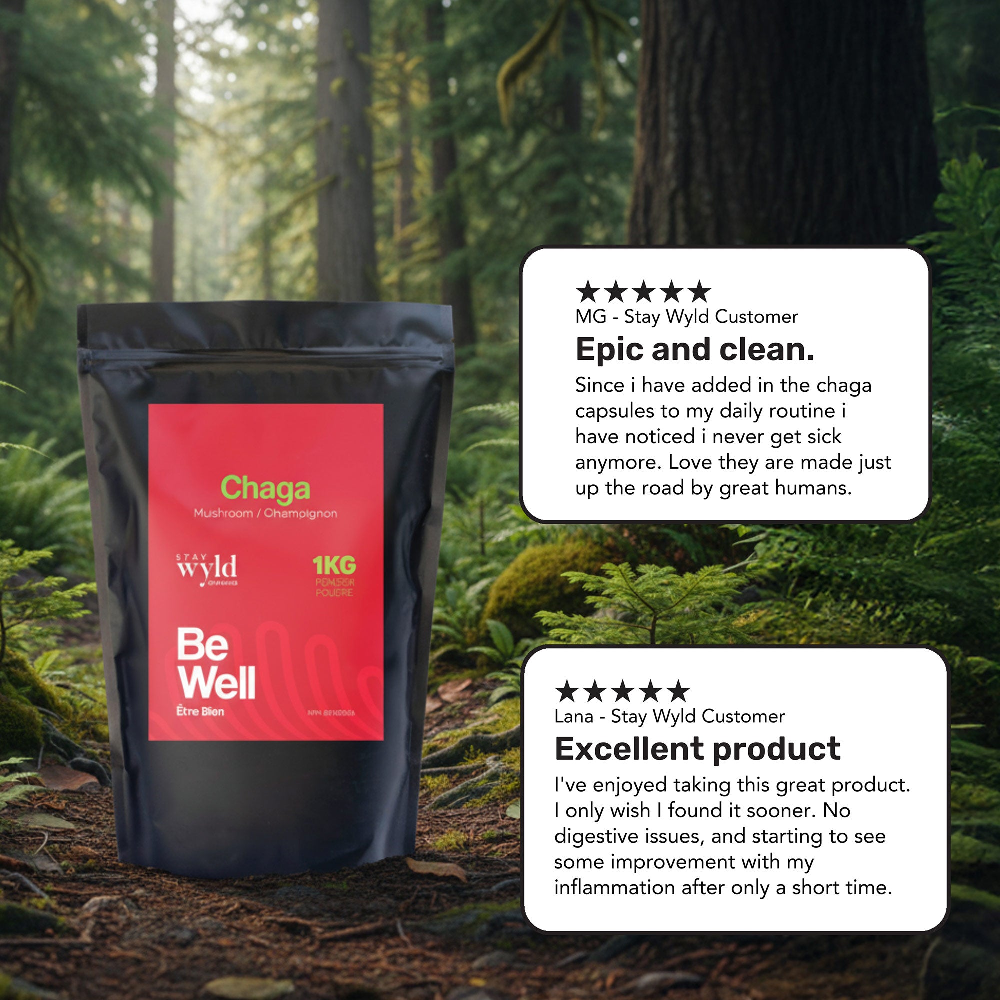Bulk Chaga Mushroom Powder (1kg)