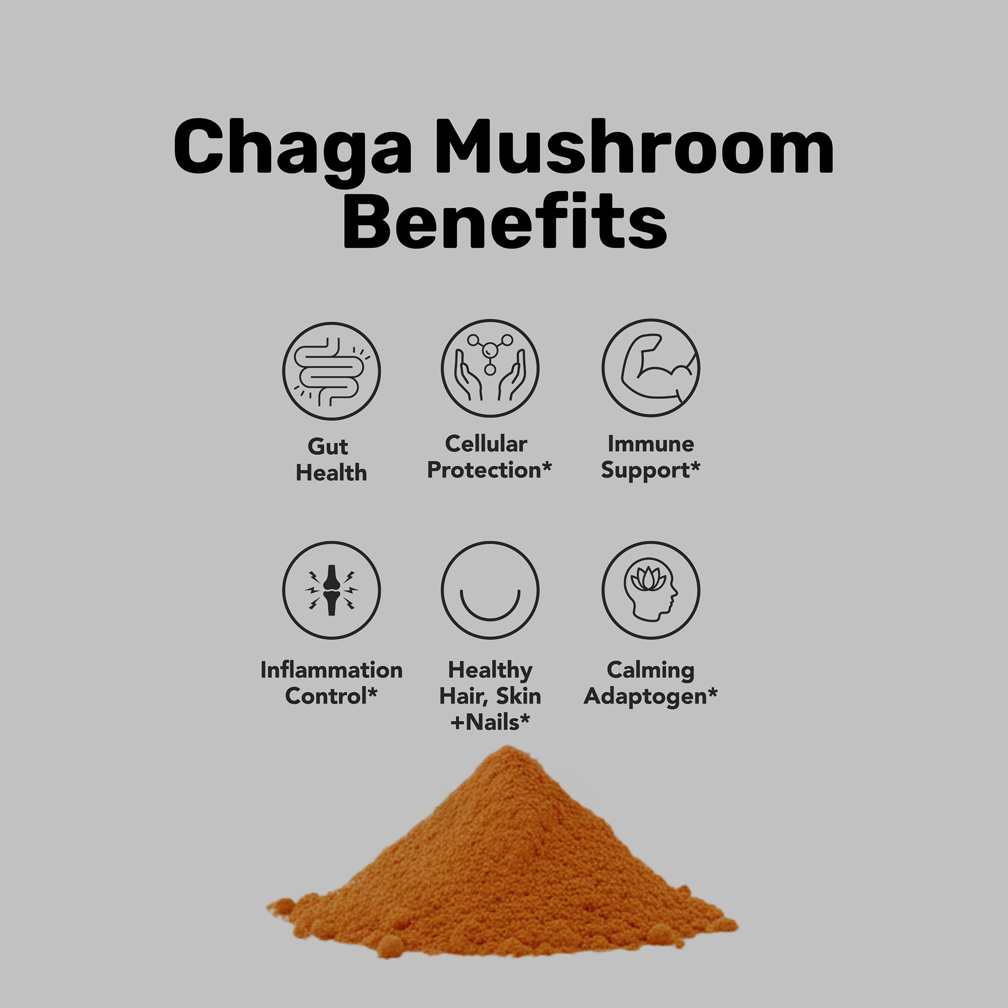 Bulk Chaga Mushroom Powder (1kg)