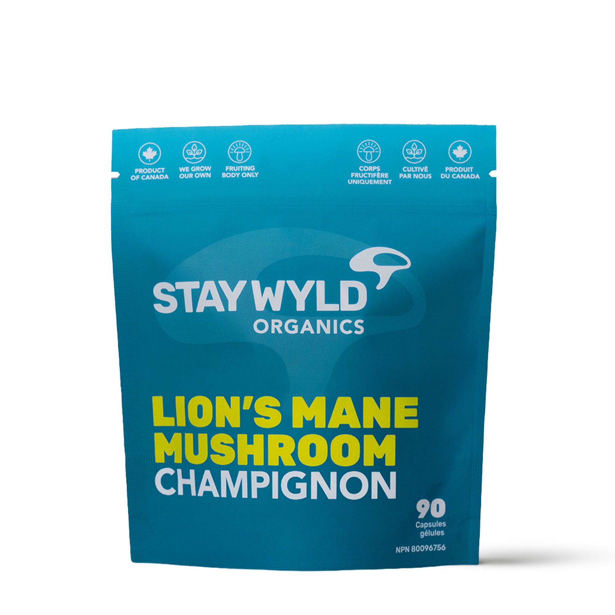 Lion's Mane Mushroom Capsules | 90 Capsules