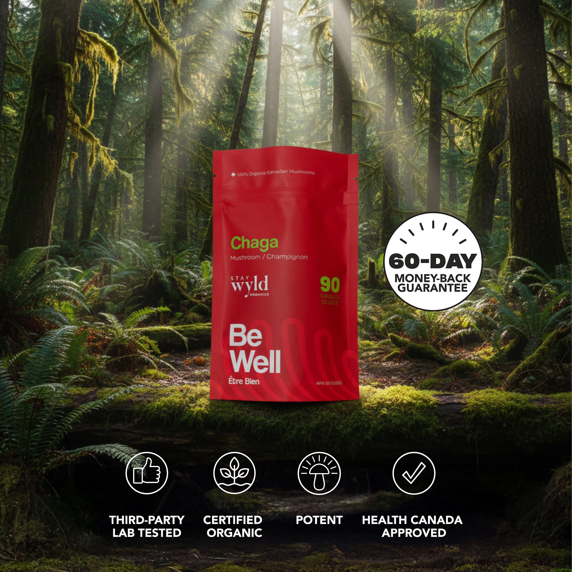 Chaga Mushroom Capsules