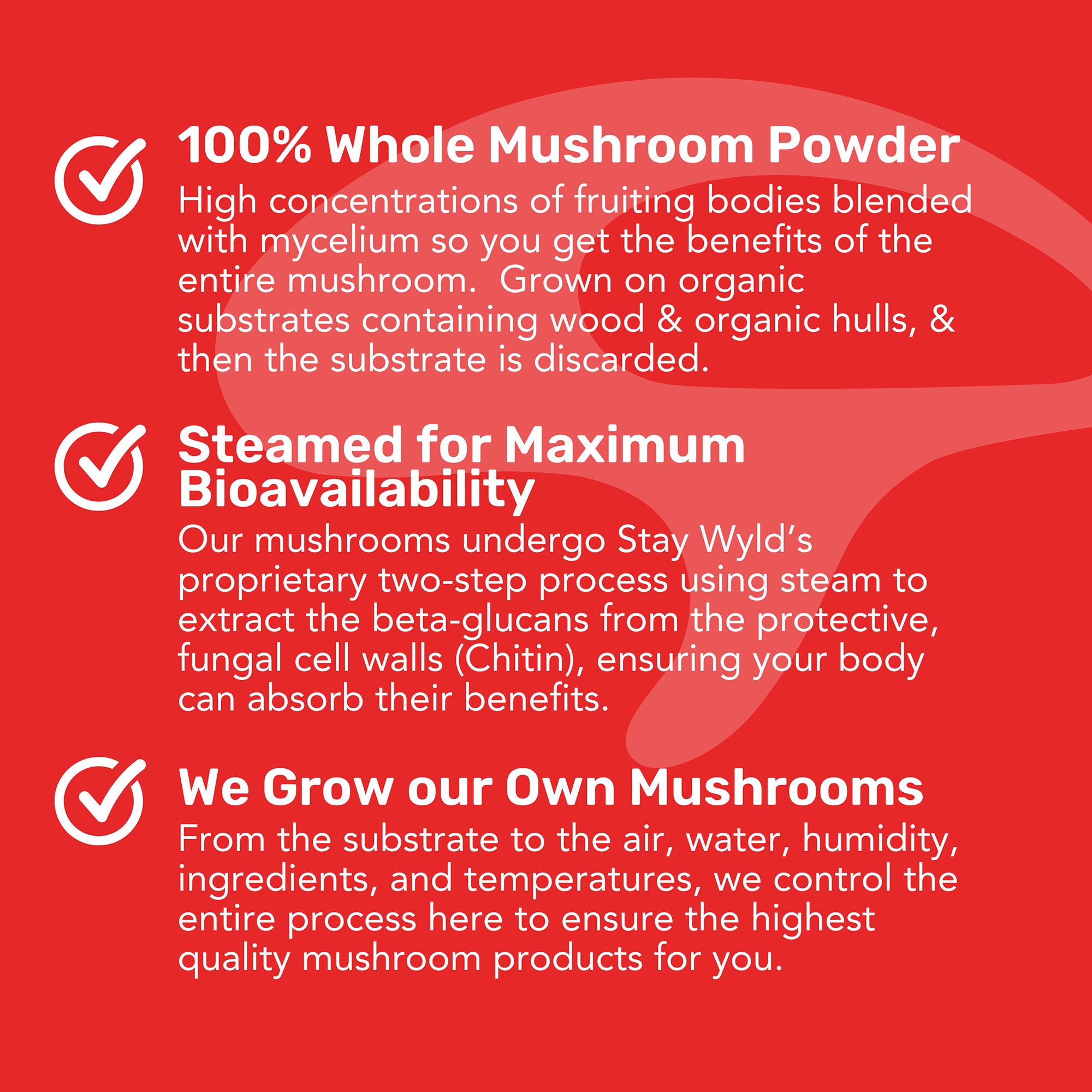 Chaga Mushroom Capsules