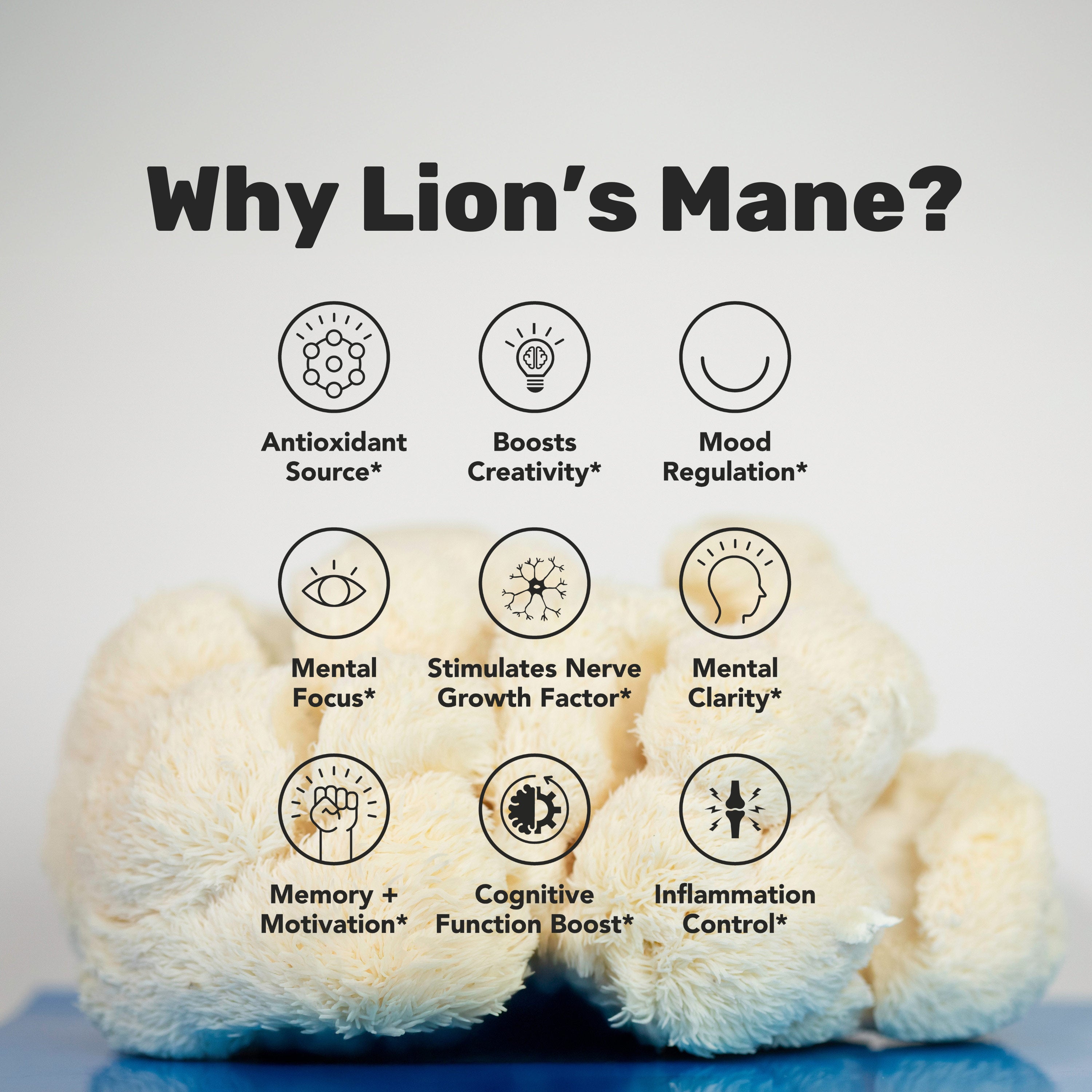 Lion's Mane Mushroom Powder Bulk (1kg)