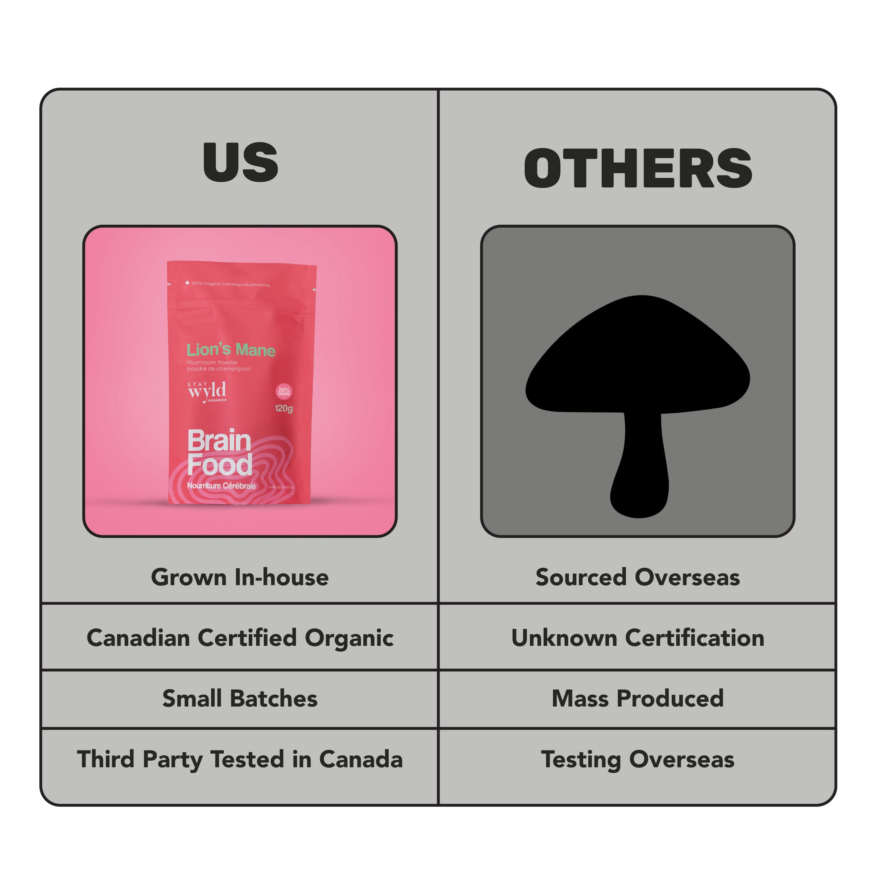 Lion's Mane Mushroom Powder