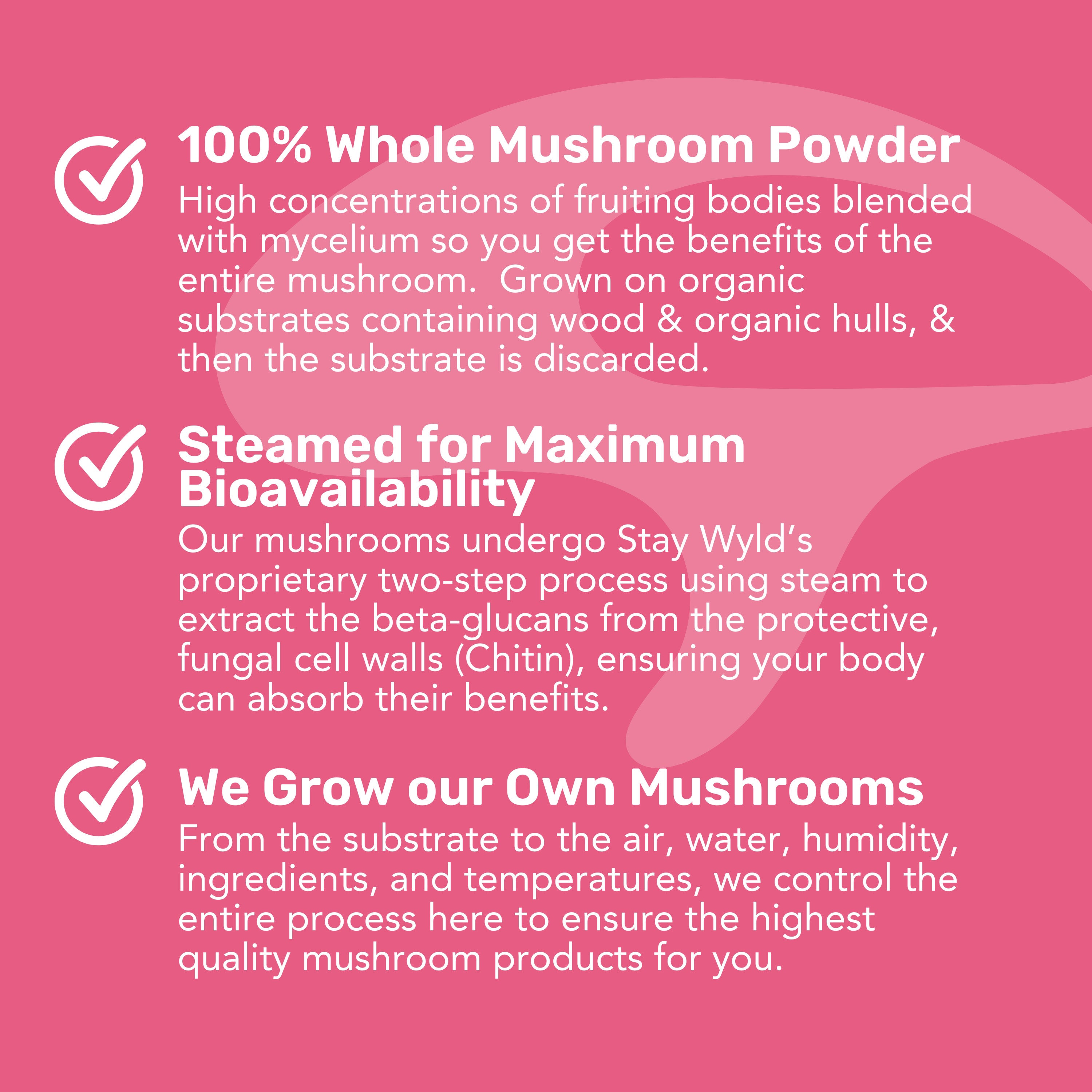Lion's Mane Mushroom Powder Bulk (1kg)