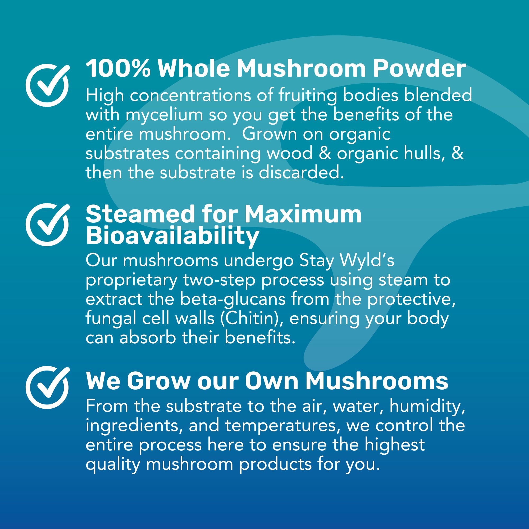 Lion's Mane Mushroom Gummies | 30 pack