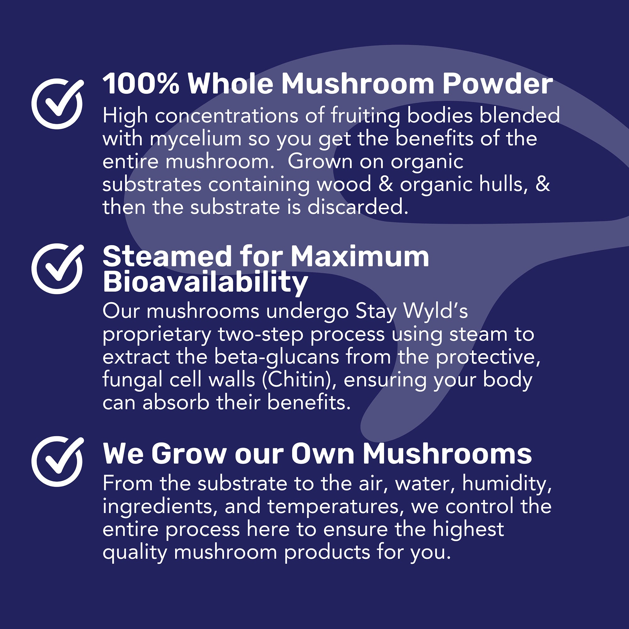 Reishi Mushroom Capsules