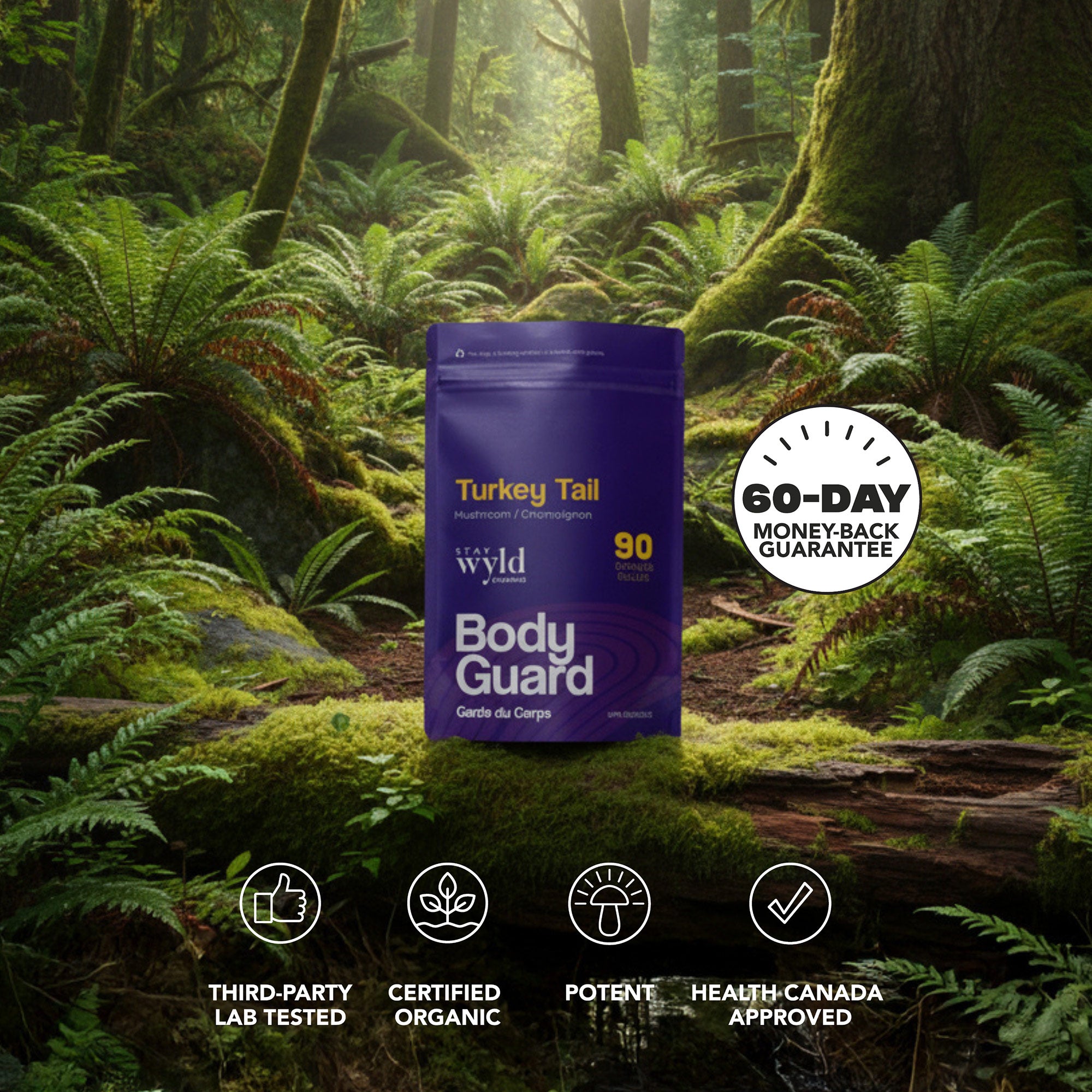 Turkey Tail Mushroom Capsules