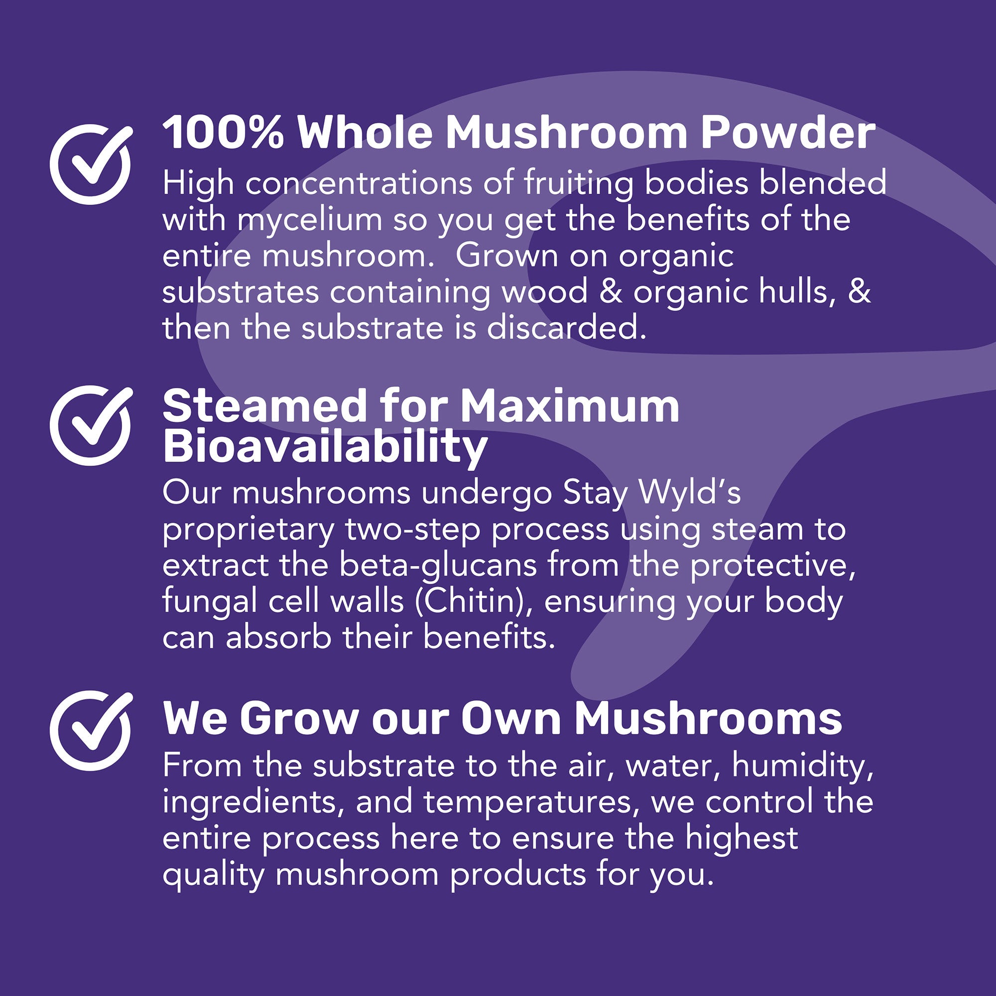 Turkey Tail Mushroom Powder Bulk (1kg)